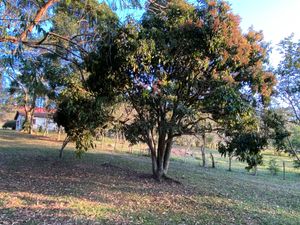 Image 68 - 919423