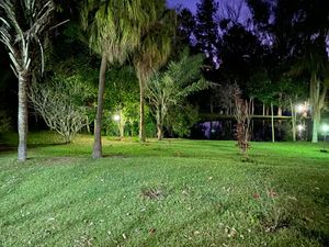 Image 55 - 919423