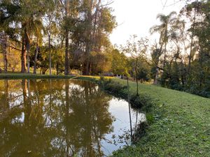 Image 60 - 919423