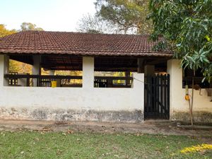 Image 93 - 919423