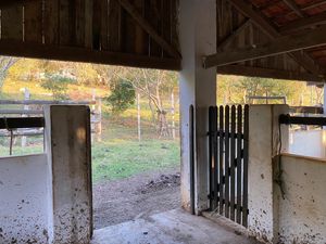 Image 90 - 919423