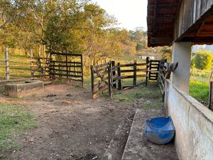 Image 95 - 919423