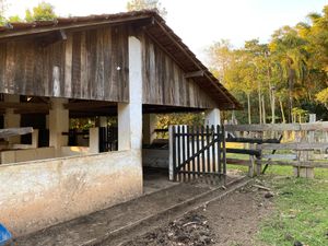 Image 91 - 919423