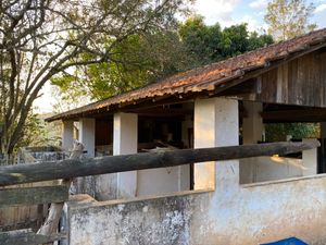 Image 92 - 919423