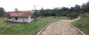 Image 97 - 919423