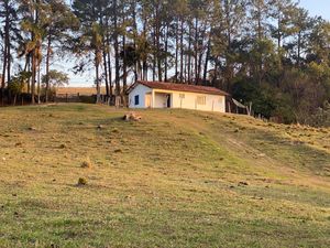 Image 86 - 919423