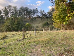 Image 99 - 919423
