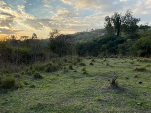 Image 101 - 919423