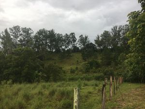 Image 98 - 919423