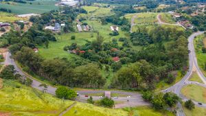 Image 102 - 919423