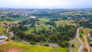 Image 103 - 919423