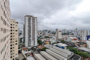 Image 12 - 919451