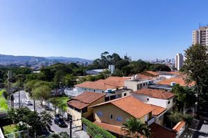 Image 8 - 919462