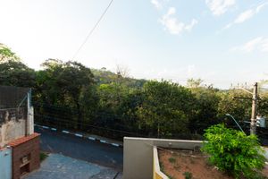Image 19 - 919475
