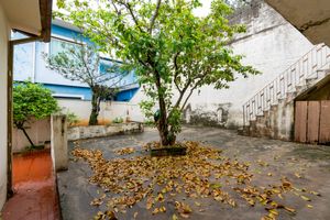 Image 7 - 919477