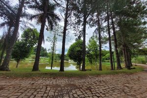 Image 83 - 919522