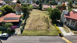 Image 6 - 919564