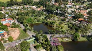 Image 10 - 919564