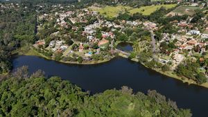 Image 29 - 919564