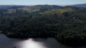 Image 42 - 919564