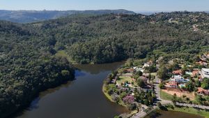 Image 43 - 919564