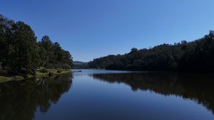 Image 67 - 919564