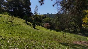 Image 86 - 919564