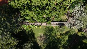Image 90 - 919564