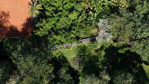 Image 91 - 919564