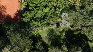 Image 92 - 919564