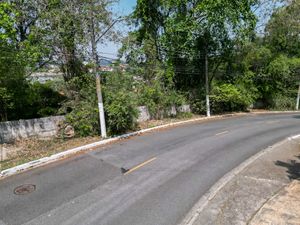 Image 15 - 919605