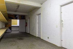 Image 61 - 919647