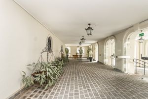Image 31 - 919697