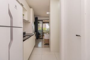 Image 10 - 919702