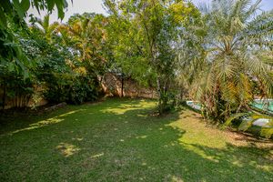 Image 24 - 919734