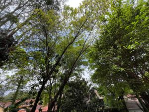 Image 5 - 919743
