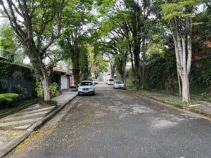 Image 25 - 919743