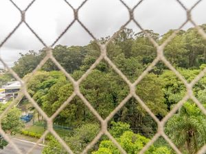 Image 6 - 919773