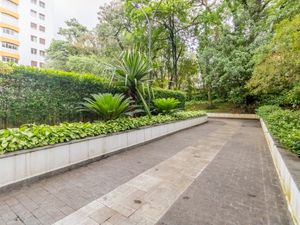 Image 33 - 919773