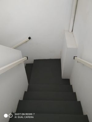 Image 13 - 919817