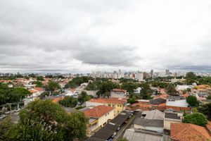 Image 5 - 919883