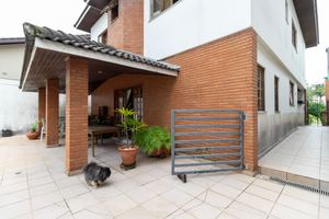 Image 3 - 919901
