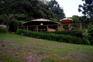 Image 3 - 919915