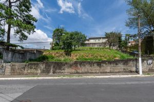 Image 5 - 919990
