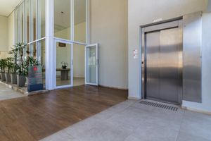 Image 13 - 920169