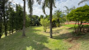 Image 6 - 920196