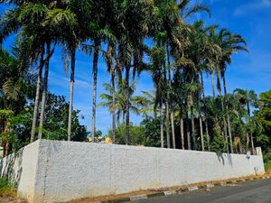 Image 3 - 920209