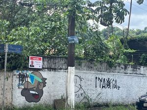 Image 4 - 920233