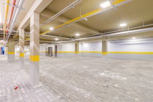 Image 37 - 920239