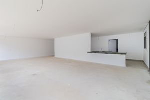 Image 32 - 920239